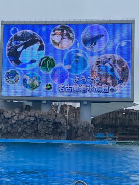名古屋港水族館に投稿された画像（2022/5/1）