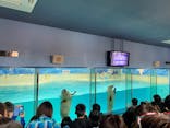 下田海中水族館に投稿された画像（2022/5/1）