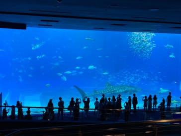 沖縄美ら海水族館に投稿された画像（2022/5/1）