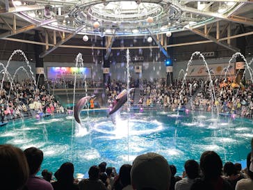 マクセル アクアパーク品川に投稿された画像（2022/5/1）