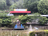 日本モンキーパークに投稿された画像（2022/5/1）