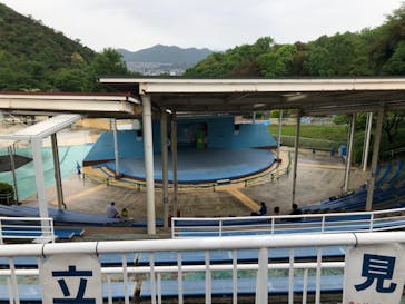 日本モンキーパークに投稿された画像（2022/5/1）