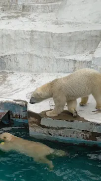 天王寺動物園に投稿された画像（2022/5/1）