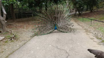 ネオパークオキナワに投稿された画像（2022/5/1）