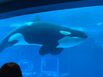 名古屋港水族館に投稿された画像（2022/5/1）