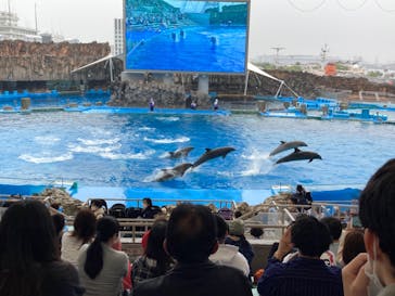 名古屋港水族館に投稿された画像（2022/5/1）