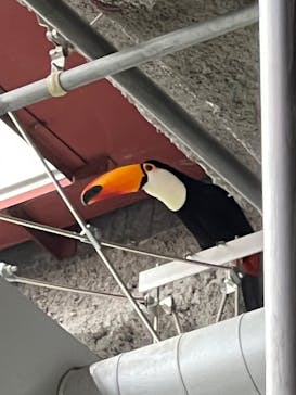 カワスイ 川崎⽔族館に投稿された画像（2022/5/1）