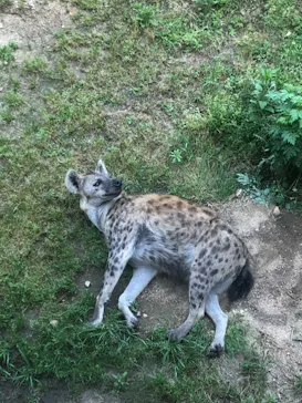 天王寺動物園に投稿された画像（2022/5/1）