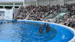 仙台うみの杜水族館に投稿された画像（2022/5/1）