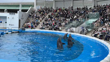 仙台うみの杜水族館に投稿された画像（2022/5/1）