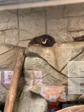 天王寺動物園に投稿された画像（2022/5/1）