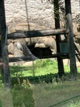 天王寺動物園に投稿された画像（2022/5/1）