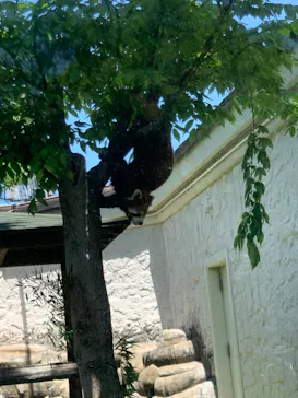 天王寺動物園に投稿された画像（2022/5/1）