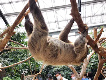 神戸どうぶつ王国に投稿された画像（2022/5/1）