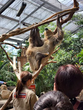 神戸どうぶつ王国に投稿された画像（2022/5/1）