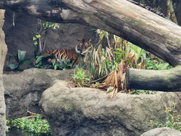 神戸どうぶつ王国に投稿された画像（2022/5/1）