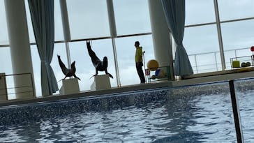 アクアワールド茨城県大洗水族館に投稿された画像（2022/5/1）