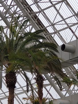 東京サマーランドに投稿された画像（2022/5/1）