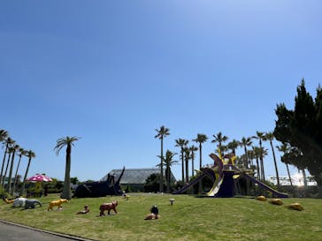 アロハガーデンたてやまに投稿された画像（2022/5/1）