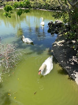 アロハガーデンたてやまに投稿された画像（2022/5/1）