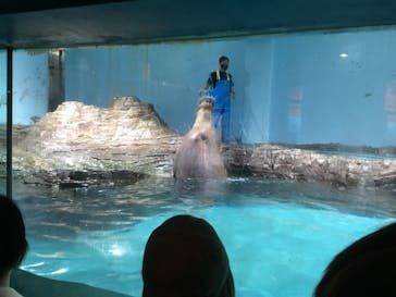 伊豆・三津シーパラダイスに投稿された画像（2022/5/1）