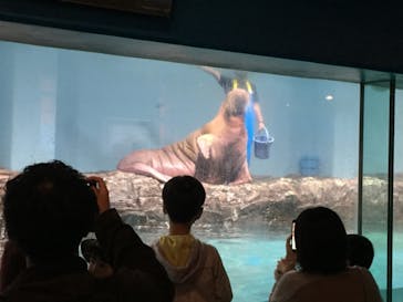 伊豆・三津シーパラダイスに投稿された画像（2022/5/1）