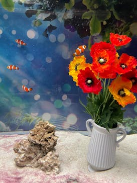 マクセル アクアパーク品川に投稿された画像（2022/5/1）