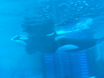 名古屋港水族館に投稿された画像（2022/5/1）