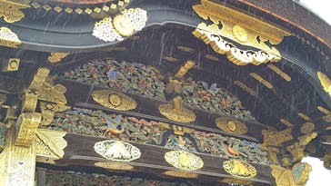 元離宮二条城に投稿された画像（2022/5/1）