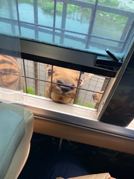 那須サファリパークに投稿された画像（2022/5/1）