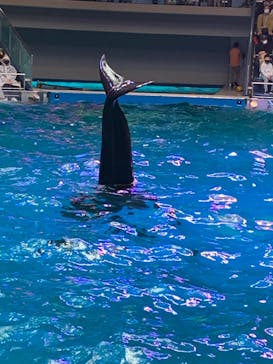 マクセル アクアパーク品川に投稿された画像（2022/5/1）