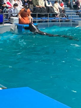 マクセル アクアパーク品川に投稿された画像（2022/5/1）