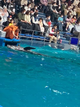 マクセル アクアパーク品川に投稿された画像（2022/5/1）