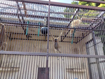 九十九島動植物園森きららに投稿された画像（2022/5/1）