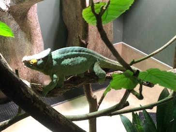 カワスイ 川崎⽔族館に投稿された画像（2022/5/1）