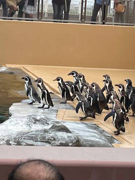 アクアワールド茨城県大洗水族館に投稿された画像（2022/5/1）