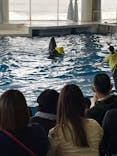 アクアワールド茨城県大洗水族館に投稿された画像（2022/5/1）