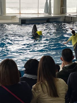 アクアワールド茨城県大洗水族館に投稿された画像（2022/5/1）