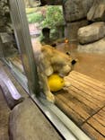 よこはま動物園ズーラシアに投稿された画像（2022/5/1）