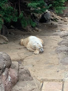 よこはま動物園ズーラシアに投稿された画像（2022/5/1）