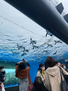 サンシャイン水族館に投稿された画像（2022/5/1）