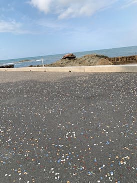 城崎マリンワールドに投稿された画像（2022/5/1）