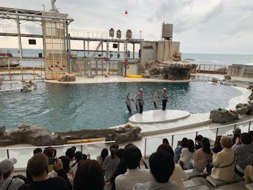 城崎マリンワールドに投稿された画像（2022/5/1）