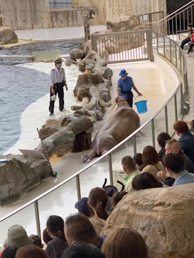 城崎マリンワールドに投稿された画像（2022/5/1）