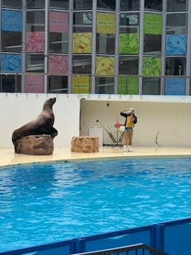 伊豆・三津シーパラダイスに投稿された画像（2022/5/1）