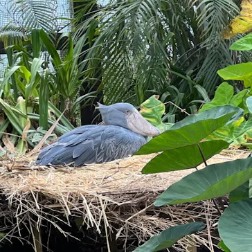神戸どうぶつ王国に投稿された画像（2022/5/1）