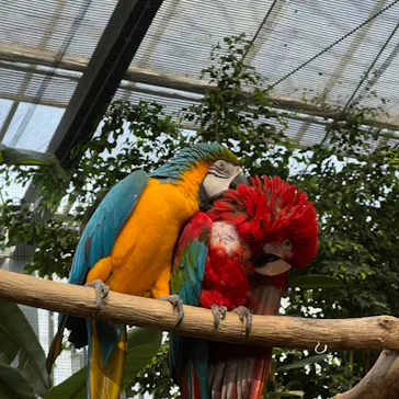 神戸どうぶつ王国に投稿された画像（2022/5/1）