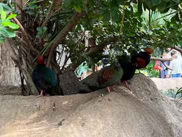 神戸どうぶつ王国に投稿された画像（2022/5/1）