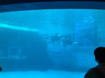 名古屋港水族館に投稿された画像（2022/5/1）