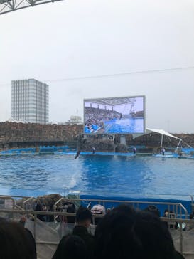 名古屋港水族館に投稿された画像（2022/5/1）